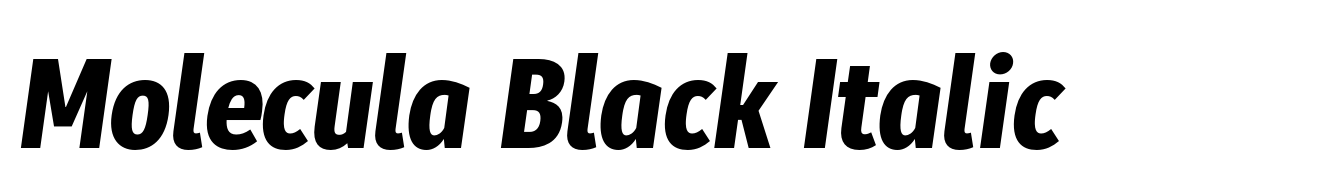 Molecula Black Italic